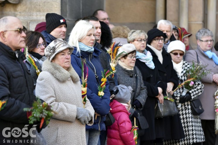 Niedziela Palmowa z rocznicą powstania diecezji.