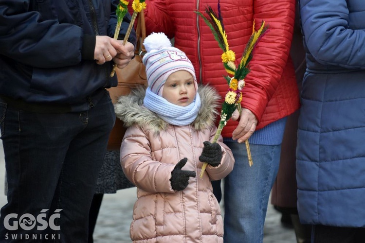 Niedziela Palmowa z rocznicą powstania diecezji.