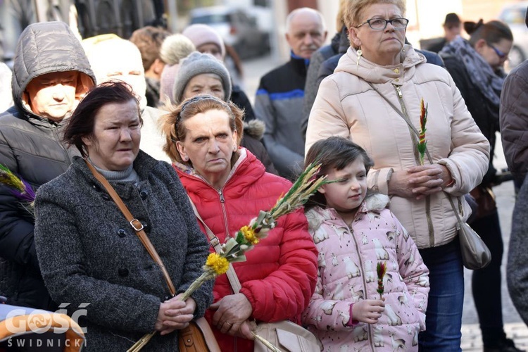 Niedziela Palmowa z rocznicą powstania diecezji.