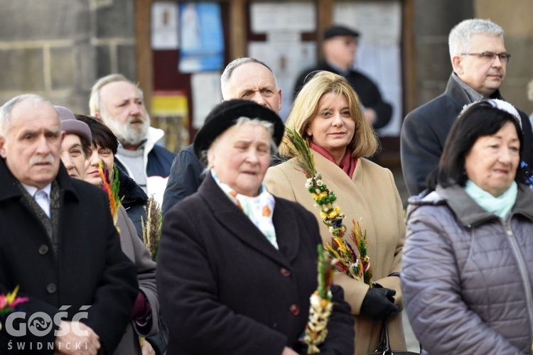 Niedziela Palmowa z rocznicą powstania diecezji.