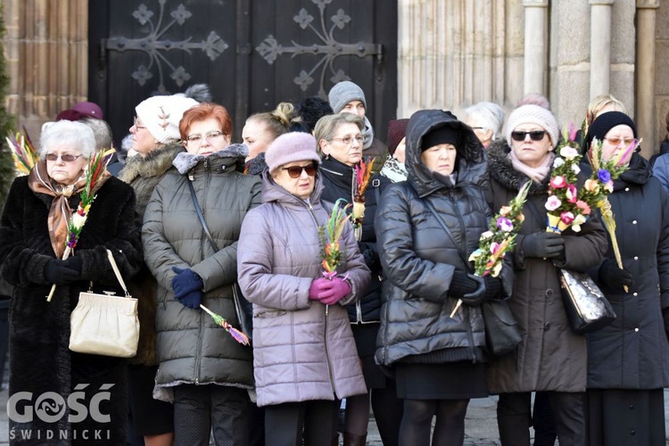 Niedziela Palmowa z rocznicą powstania diecezji.