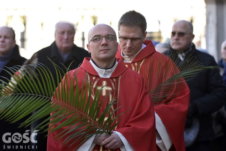 Niedziela Palmowa z rocznicą powstania diecezji.