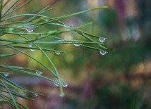 Napływa chłodne powietrze polarne morskie