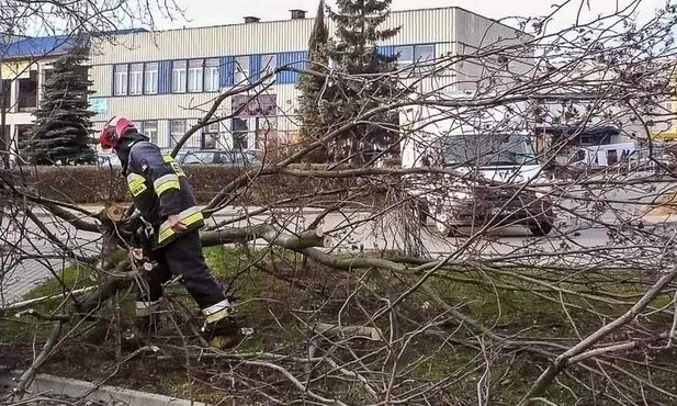 Wieje i pada