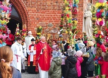 Wszystkie konkursowe palmy wzięły również udział w procesji przed Mszą Świętą.