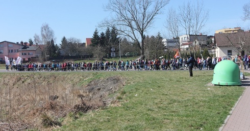 Apostołki Miłosierdzia