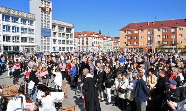 Między katedrą a ratuszem