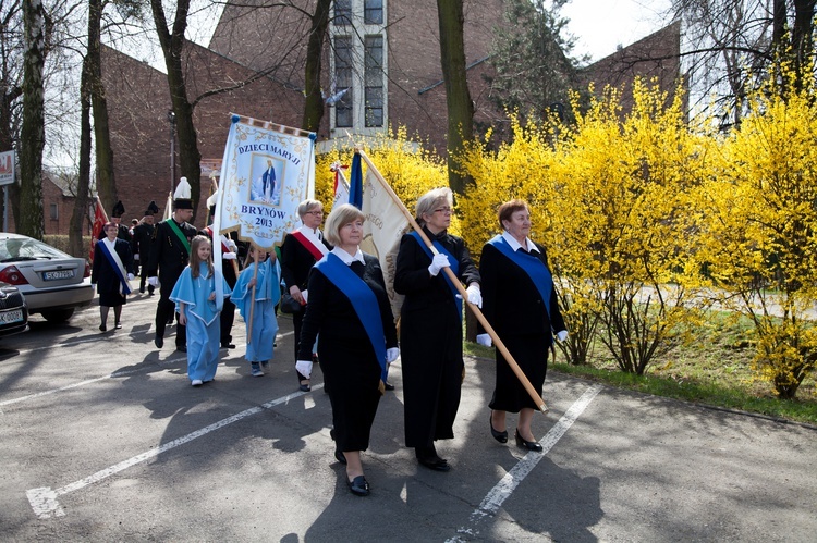 Dąb Niepodległości 