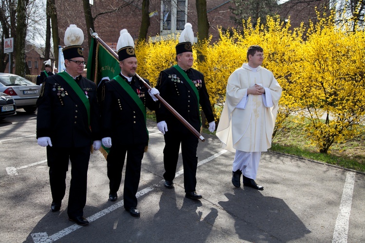 Dąb Niepodległości 