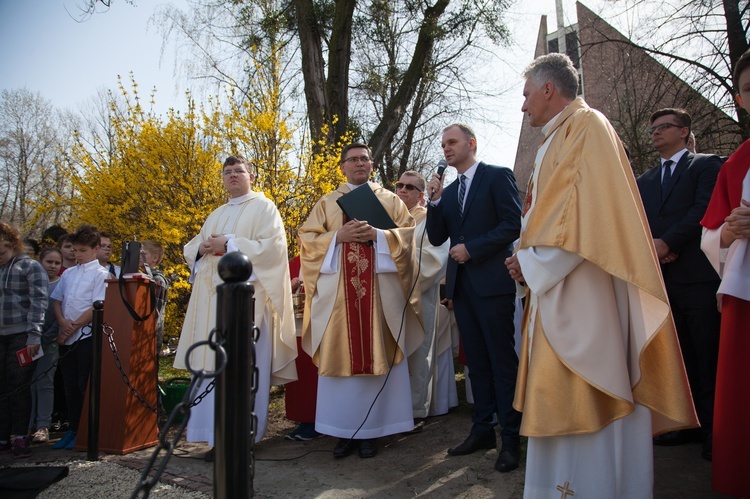 Dąb Niepodległości 