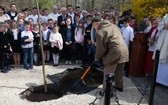 Dąb Niepodległości 