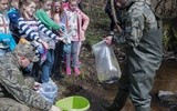 Wiosenne porządki u królowej