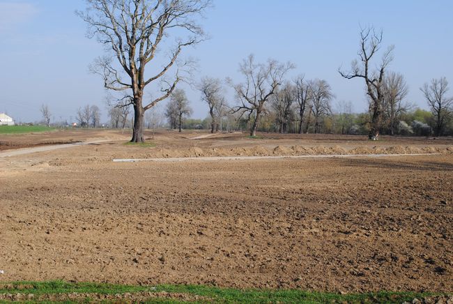 Rewitalizacja błoń w Stalowej Woli