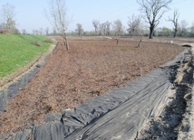 Rewitalizacja błoń w Stalowej Woli