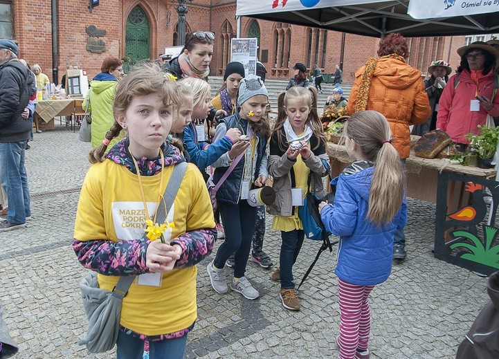 Pola Nadziei w Kołobrzegu