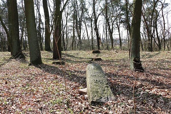 Choć niewiele pozostało po dawnym miejscu pochówków,  już w najbliższej przyszłości może się ona stać miejscem pamięci o ludziach i historii parafii.