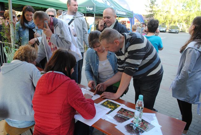 Drzewko za makulaturę w Stalowej Woli