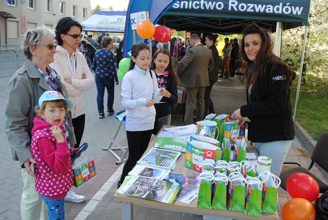 Drzewko za makulaturę w Stalowej Woli