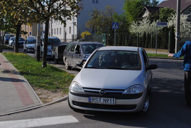 Drzewko za makulaturę w Stalowej Woli