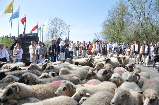 Święto Bacowskie w Ludźmierzu