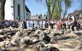 Święto Bacowskie w Ludźmierzu