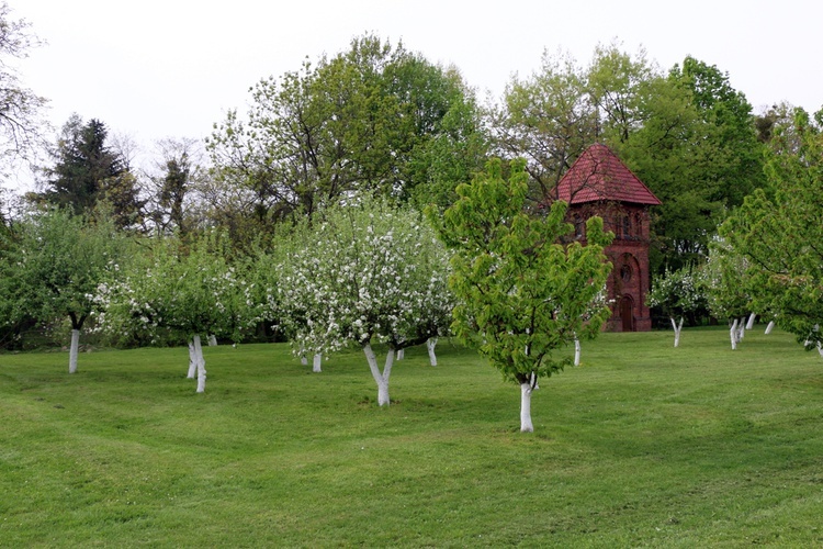 Wyższe Seminarium Duchowne Franciszkanów "Antonianum"