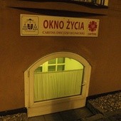 Kilkudniowa dziewczynka w oknie życia!