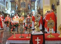 Relikwie w sanktuarium św. Stanisława BM w Szczepanowie