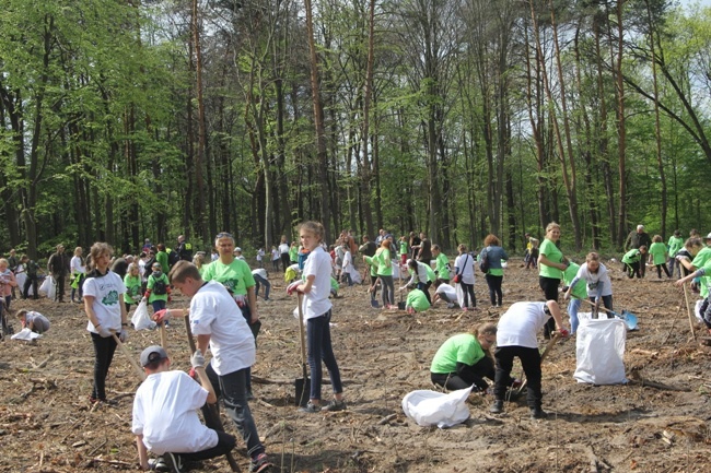 Święto Lasu w Radomiu