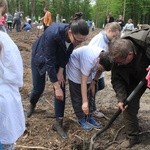 Święto Lasu w Radomiu