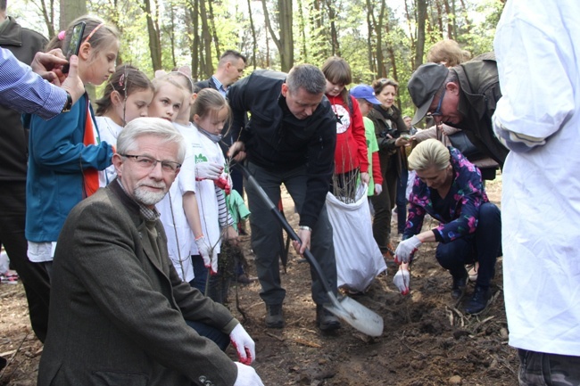 Święto Lasu w Radomiu