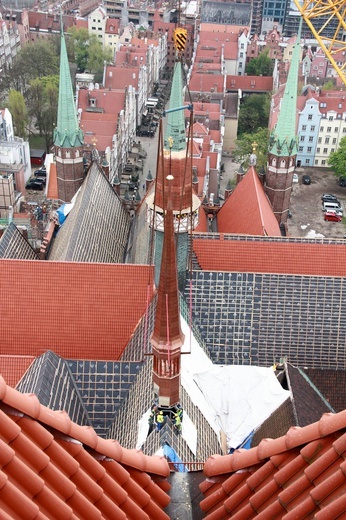 Sygnaturka wróciła na dach bazyliki Mariackiej w Gdańsku