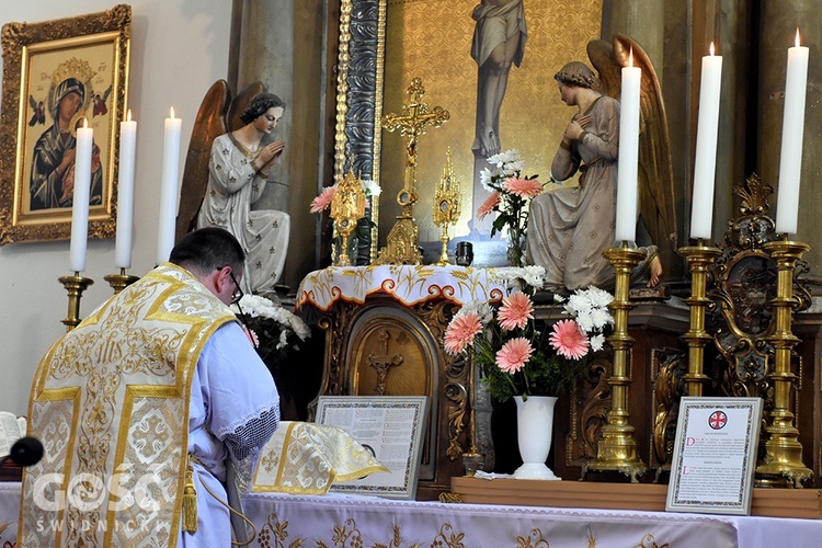 Pięciolecie duszpasterstwa tradycyjnego w Świdnicy