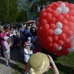 Niepodległościowy piknik w skansenie