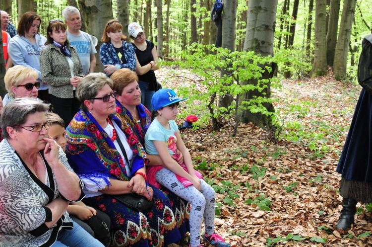 Na okopach konfederatów barskich w Muszynce