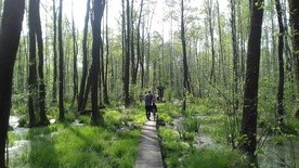 Poleski Park Narodowy - idealne miejsce na długi weekend i nie tylko