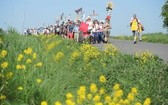 7 grup w drodze do Wieprza - 2. dzień - 2018