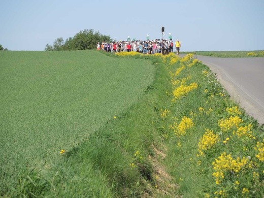 7 grup w drodze do Wieprza - 2. dzień - 2018