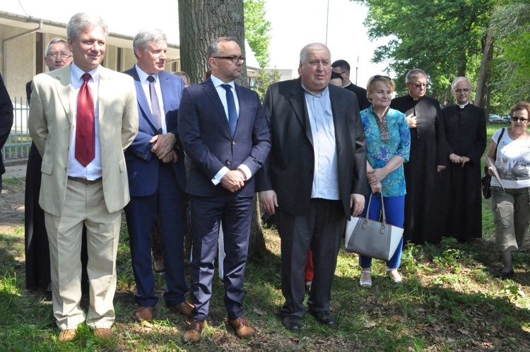 100 dębów w Brzesku-Słotwinie