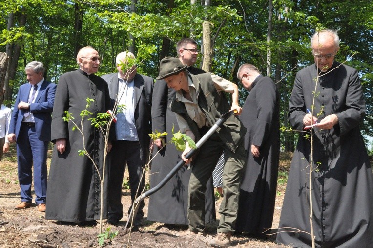 100 dębów w Brzesku-Słotwinie