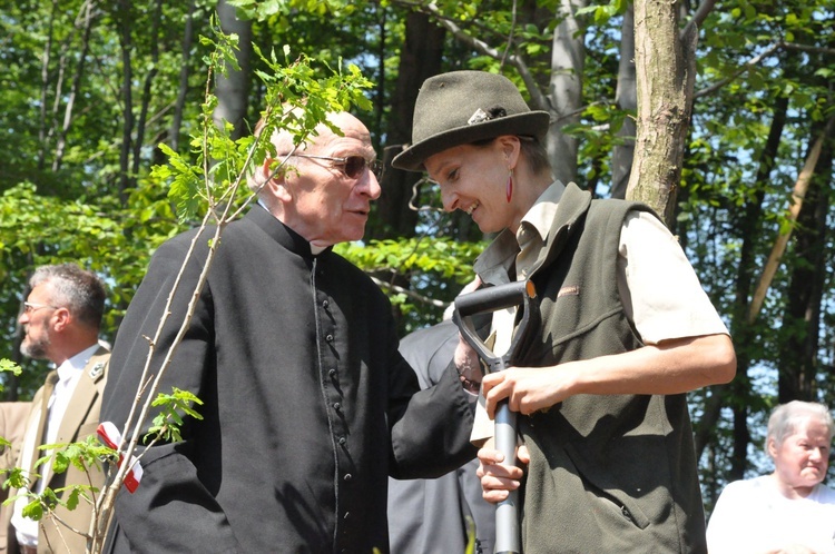 100 dębów w Brzesku-Słotwinie