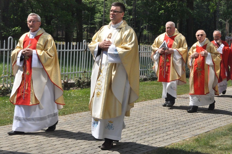 100 dębów w Brzesku-Słotwinie