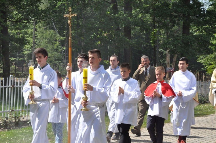 100 dębów w Brzesku-Słotwinie