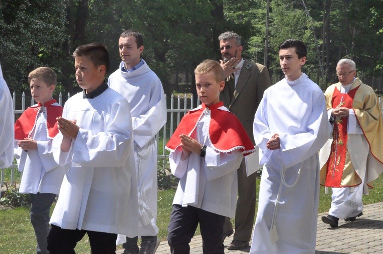 100 dębów w Brzesku-Słotwinie