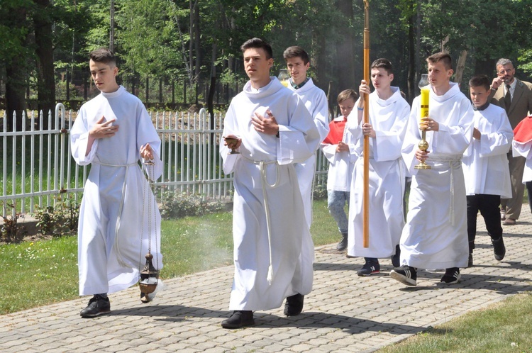 100 dębów w Brzesku-Słotwinie