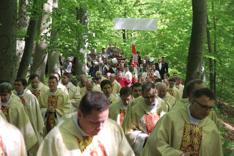 Święto patronalne archidiecezji gdańskiej 2018