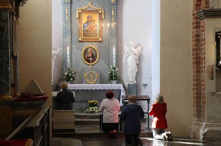 Przyjaciele Paradyża