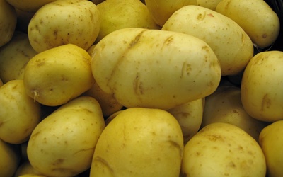 Ziemniaki będą miały oznaczenie kraju pochodzenia