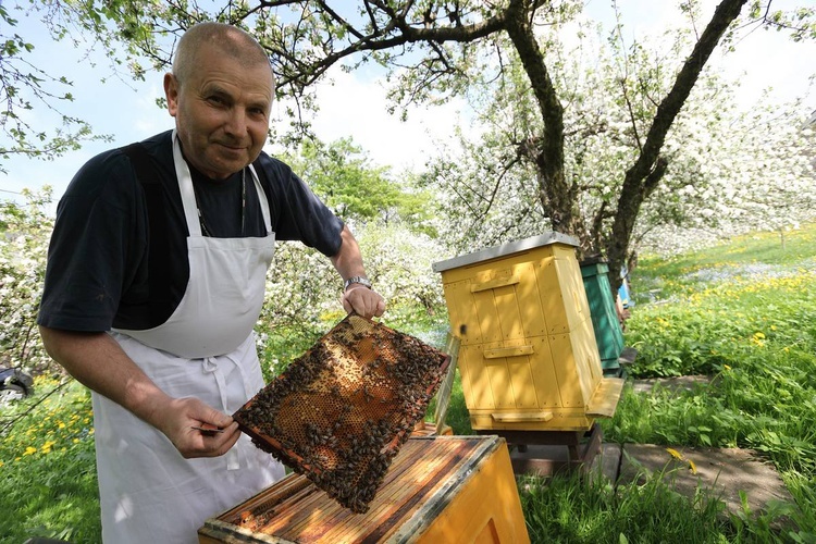 Nie ma jak u Mamy