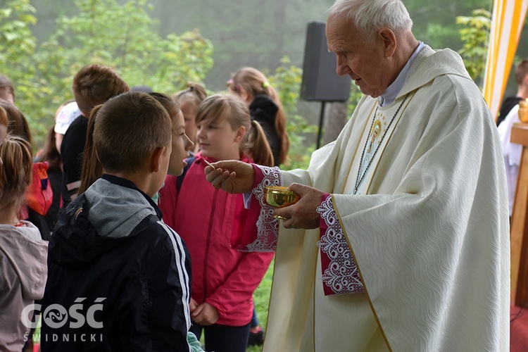 XIV Pielgrzymka Wałbrzyskiej Młodzieży na Chełmiec